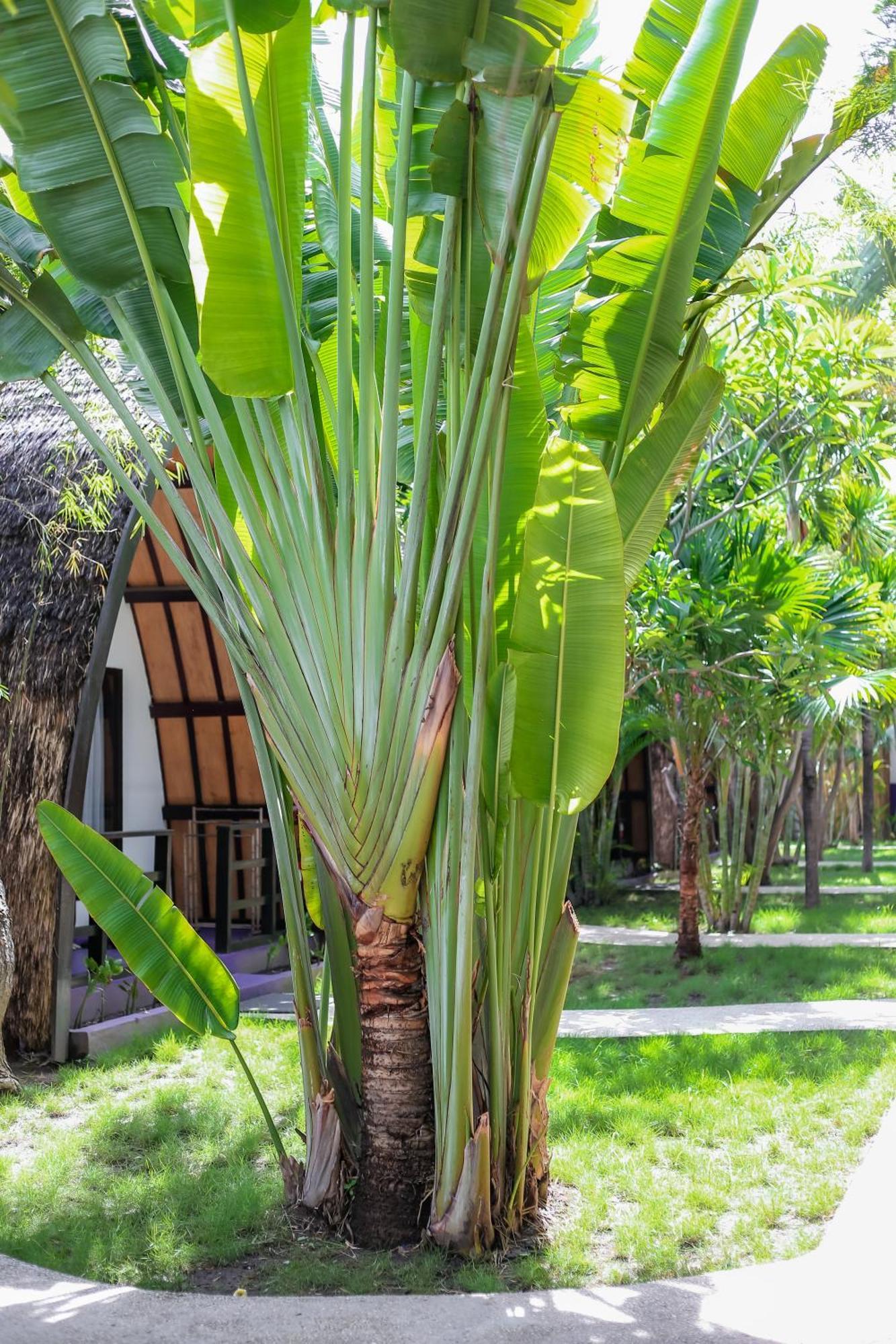 Diversia Diving Club & Bungalows Gili Trawangan Exterior photo
